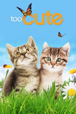 Too Cute (2011) Official Image | AndyDay