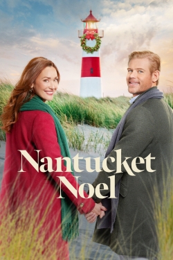Nantucket Noel (2021) Official Image | AndyDay