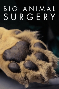 Big Animal Surgery (2019) Official Image | AndyDay