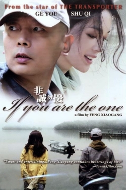 If You Are the One (2008) Official Image | AndyDay