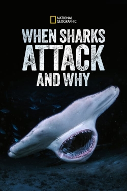 When Sharks Attack... and Why (2023) Official Image | AndyDay