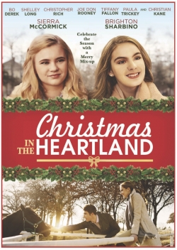Christmas in the Heartland (2017) Official Image | AndyDay