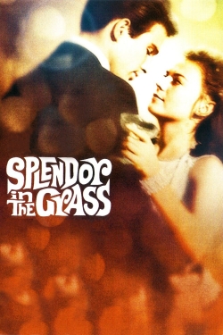 Splendor in the Grass (1961) Official Image | AndyDay