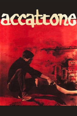 Accattone (1961) Official Image | AndyDay