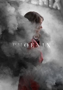 Phoenix (2014) Official Image | AndyDay