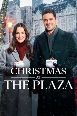 Christmas at the Plaza (2019) Official Image | AndyDay