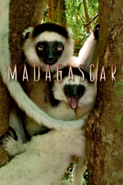 Madagascar (2011) Official Image | AndyDay