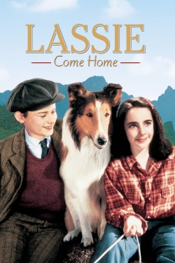 Lassie Come Home (1943) Official Image | AndyDay