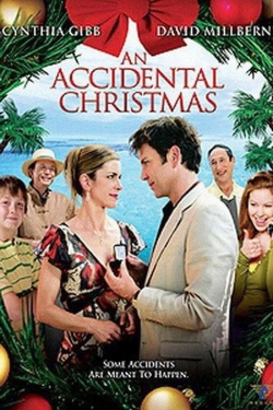 An Accidental Christmas (2007) Official Image | AndyDay