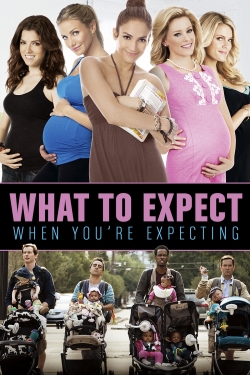What to Expect When You're Expecting (2012) Official Image | AndyDay