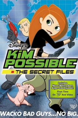 Kim Possible: The Secret Files (2003) Official Image | AndyDay