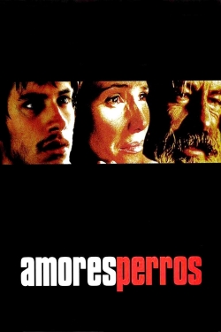 Amores Perros (2000) Official Image | AndyDay