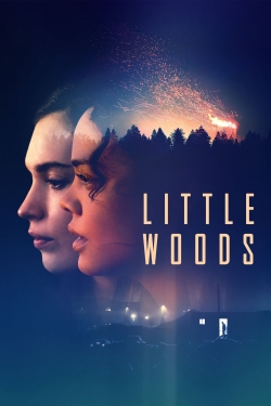 Little Woods (2019) Official Image | AndyDay