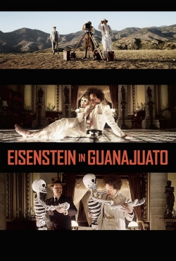 Eisenstein in Guanajuato (2015) Official Image | AndyDay