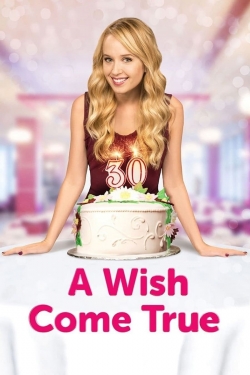 A Wish Come True (2015) Official Image | AndyDay
