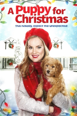 A Puppy for Christmas (2016) Official Image | AndyDay