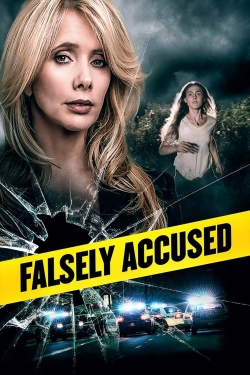 Falsely Accused (2016) Official Image | AndyDay
