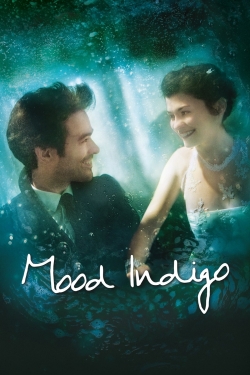Mood Indigo (2013) Official Image | AndyDay