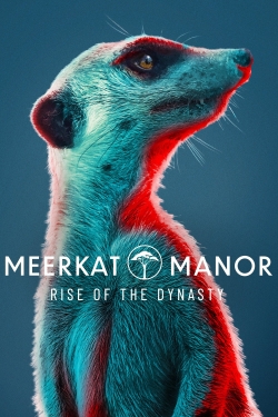 Meerkat Manor: Rise of the Dynasty (2021) Official Image | AndyDay