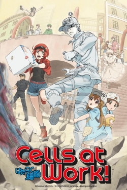 Cells at Work! (2018) Official Image | AndyDay