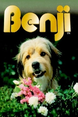 Benji (1974) Official Image | AndyDay