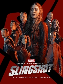 Marvel's Agents of S.H.I.E.L.D.: Slingshot (2016) Official Image | AndyDay
