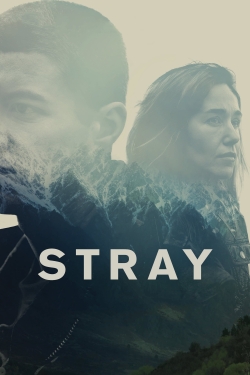 Stray (2018) Official Image | AndyDay