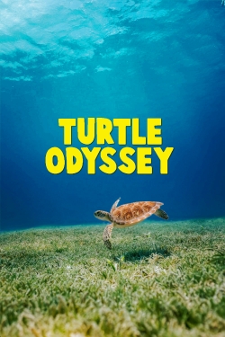 Turtle Odyssey (2018) Official Image | AndyDay