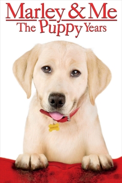 Marley & Me: The Puppy Years (2011) Official Image | AndyDay