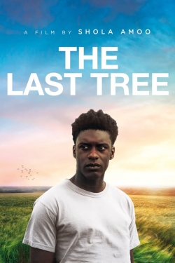 The Last Tree (2019) Official Image | AndyDay
