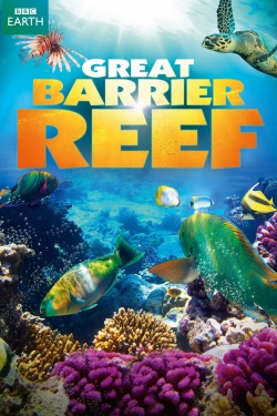 Great Barrier Reef (2012) Official Image | AndyDay