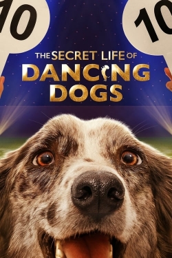 The Secret Life of Dancing Dogs (2023) Official Image | AndyDay