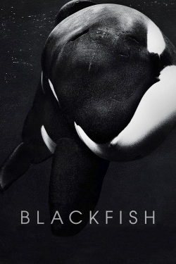 Blackfish (2013) Official Image | AndyDay