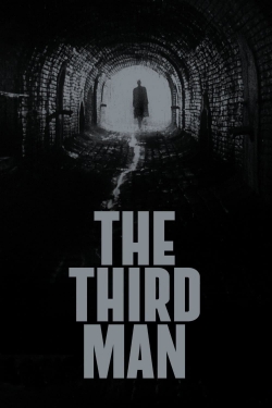 The Third Man (1949) Official Image | AndyDay