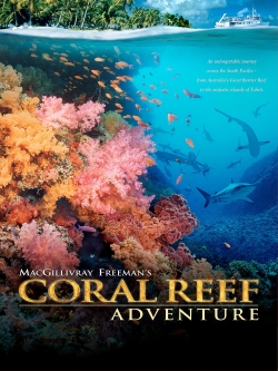 Coral Reef Adventure (2003) Official Image | AndyDay