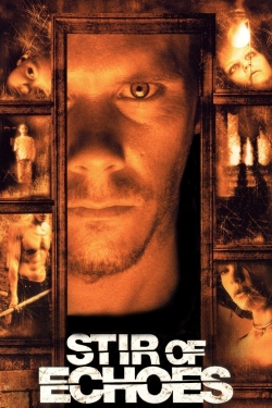 Stir of Echoes (1999) Official Image | AndyDay