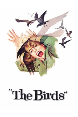 The Birds (1963) Official Image | AndyDay