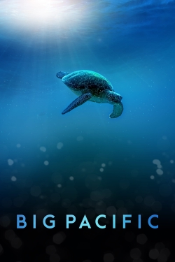 Big Pacific (2017) Official Image | AndyDay