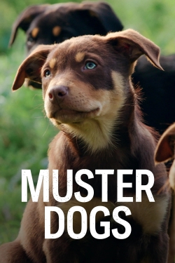 Muster Dogs (2022) Official Image | AndyDay