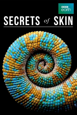 Secrets of Skin (2019) Official Image | AndyDay