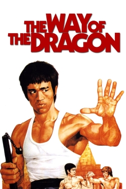 The Way of the Dragon (1972) Official Image | AndyDay