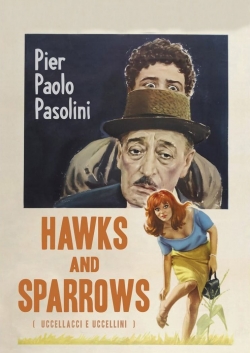 Hawks and Sparrows (1966) Official Image | AndyDay