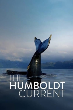 The Humboldt Current (2021) Official Image | AndyDay