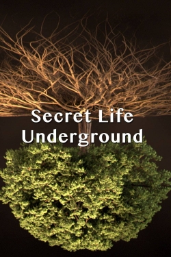 Secret Life Underground (2015) Official Image | AndyDay