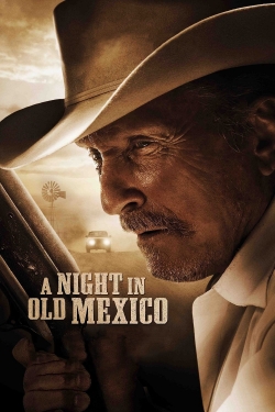 A Night in Old Mexico (2013) Official Image | AndyDay