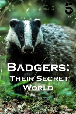 Badgers: Their Secret World (2023) Official Image | AndyDay