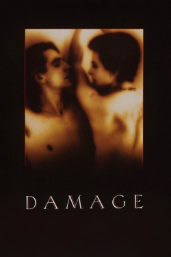 Damage (1992) Official Image | AndyDay