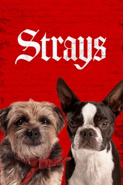 Strays (2023) Official Image | AndyDay