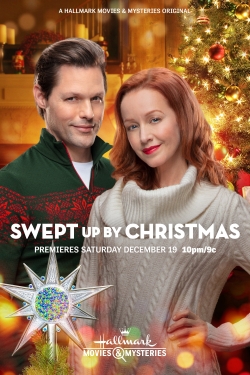 Swept Up by Christmas (2020) Official Image | AndyDay