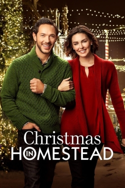 Christmas in Homestead (2016) Official Image | AndyDay